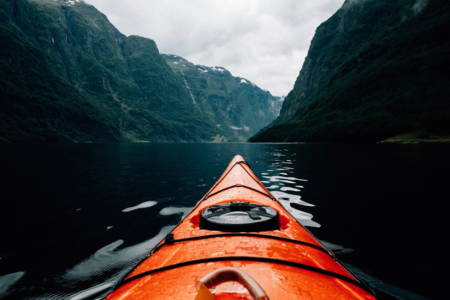 Navigating the World with Expertise and Passion