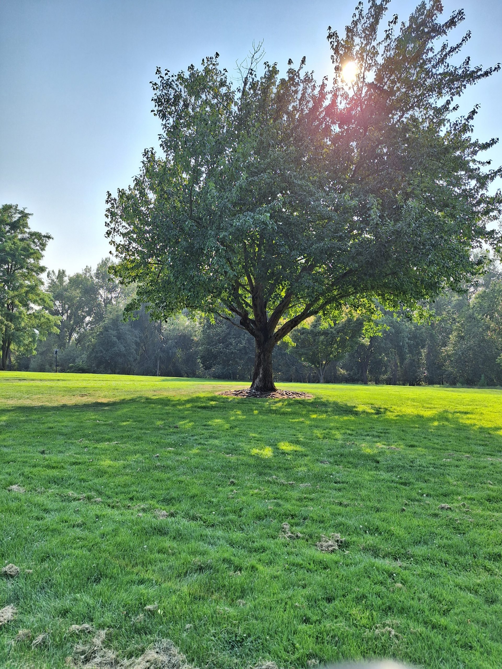Revisiting Summertime and Making Your Days Happy